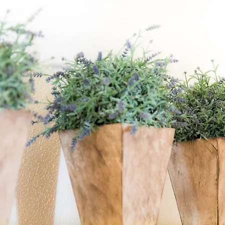 ヴィラ Coreto's Village