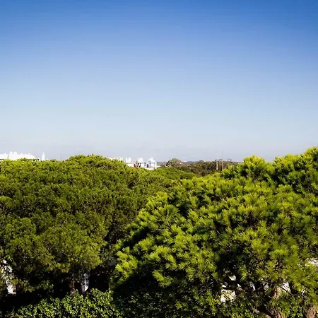 Villa Coreto's Village