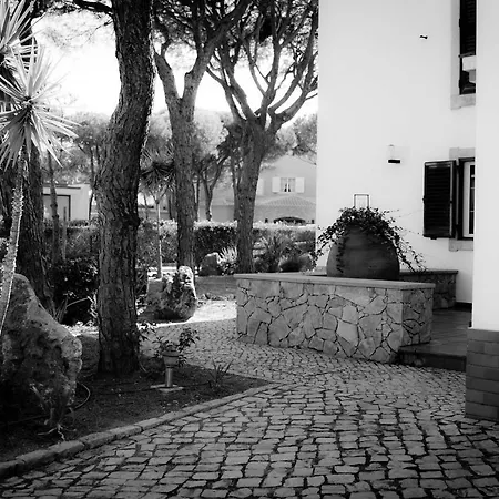 Coreto's Village
