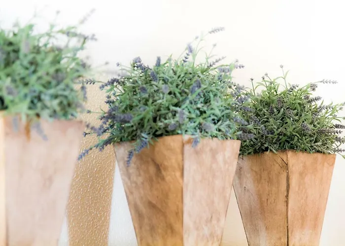 וילה Coreto's Village