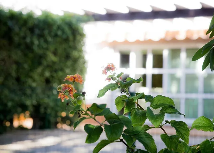 Villa Coreto's Village Praia Verde